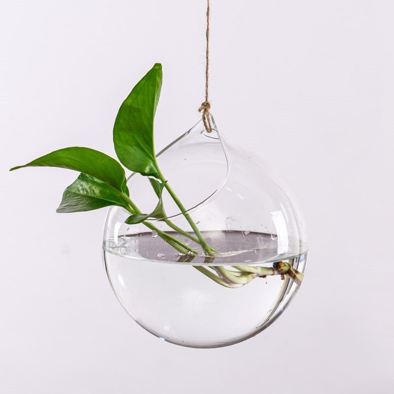 Creative Hydroponic Plant Aquarium Hanging Transparent Glass Vase