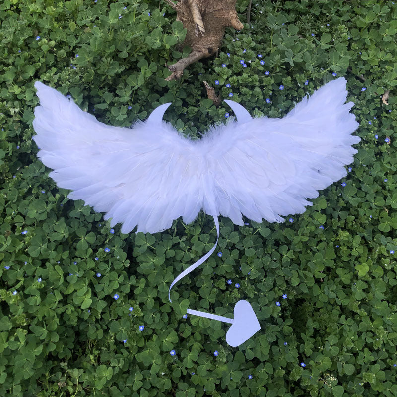 Halloween Party Makeup Costume Props Devil Angel Wings
