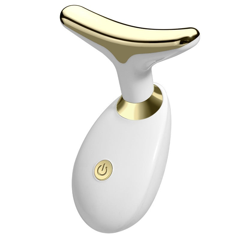 Electric Facial Massager – Household Beauty Import Instrument