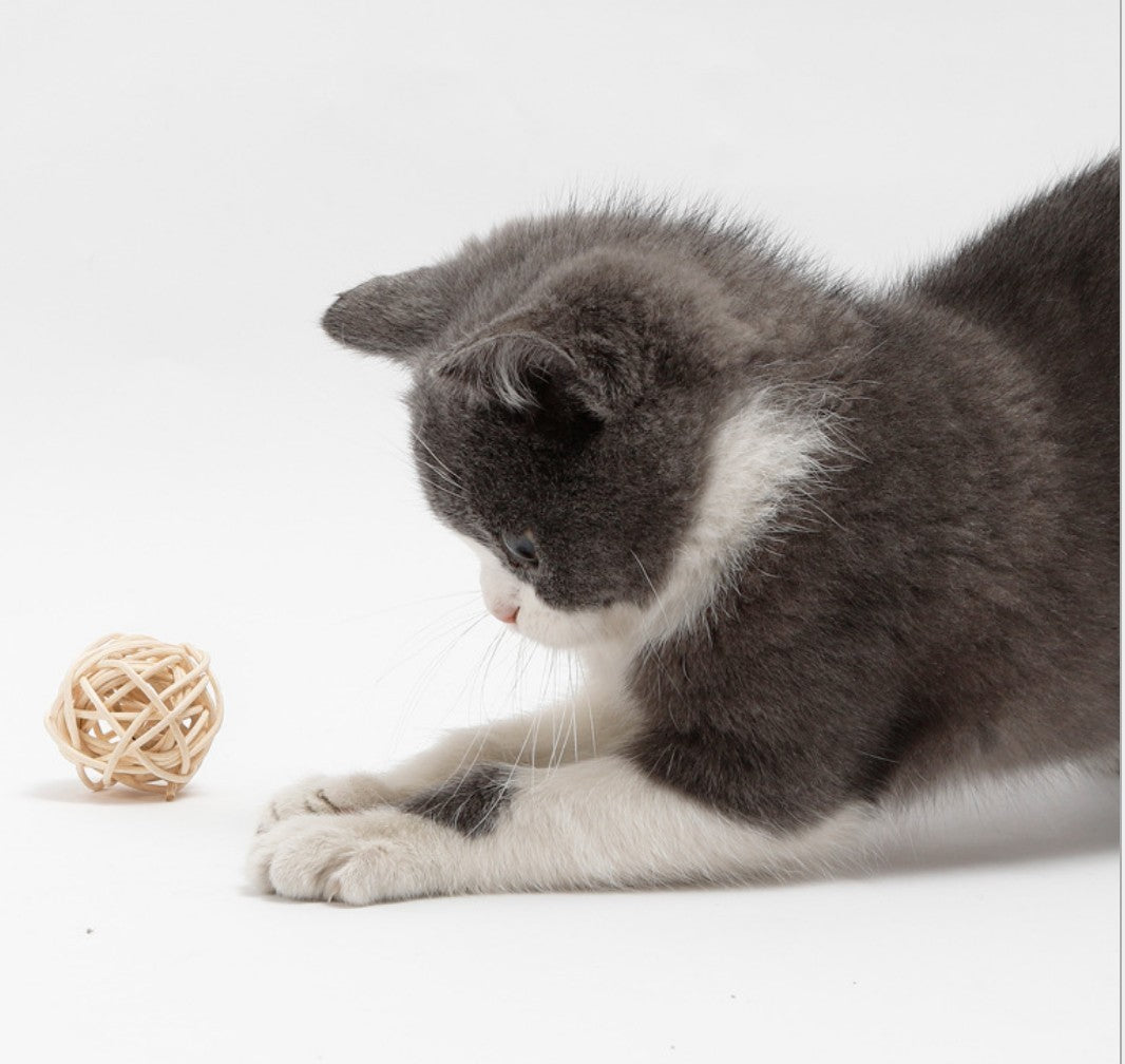 Rattan Bell Ball Feather Sepak Takraw Funny Cat Toy