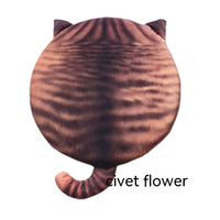 Civet Cat