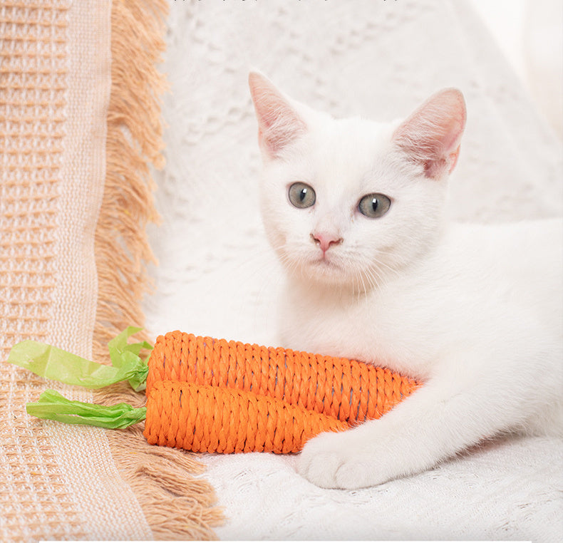 Interactive Carrot-Shaped Catnip and Tooth-Grinding Paper Sticks for Cats