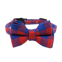 Red and blue plaid
