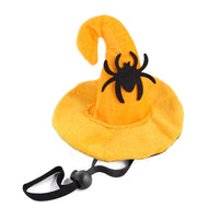 spider
