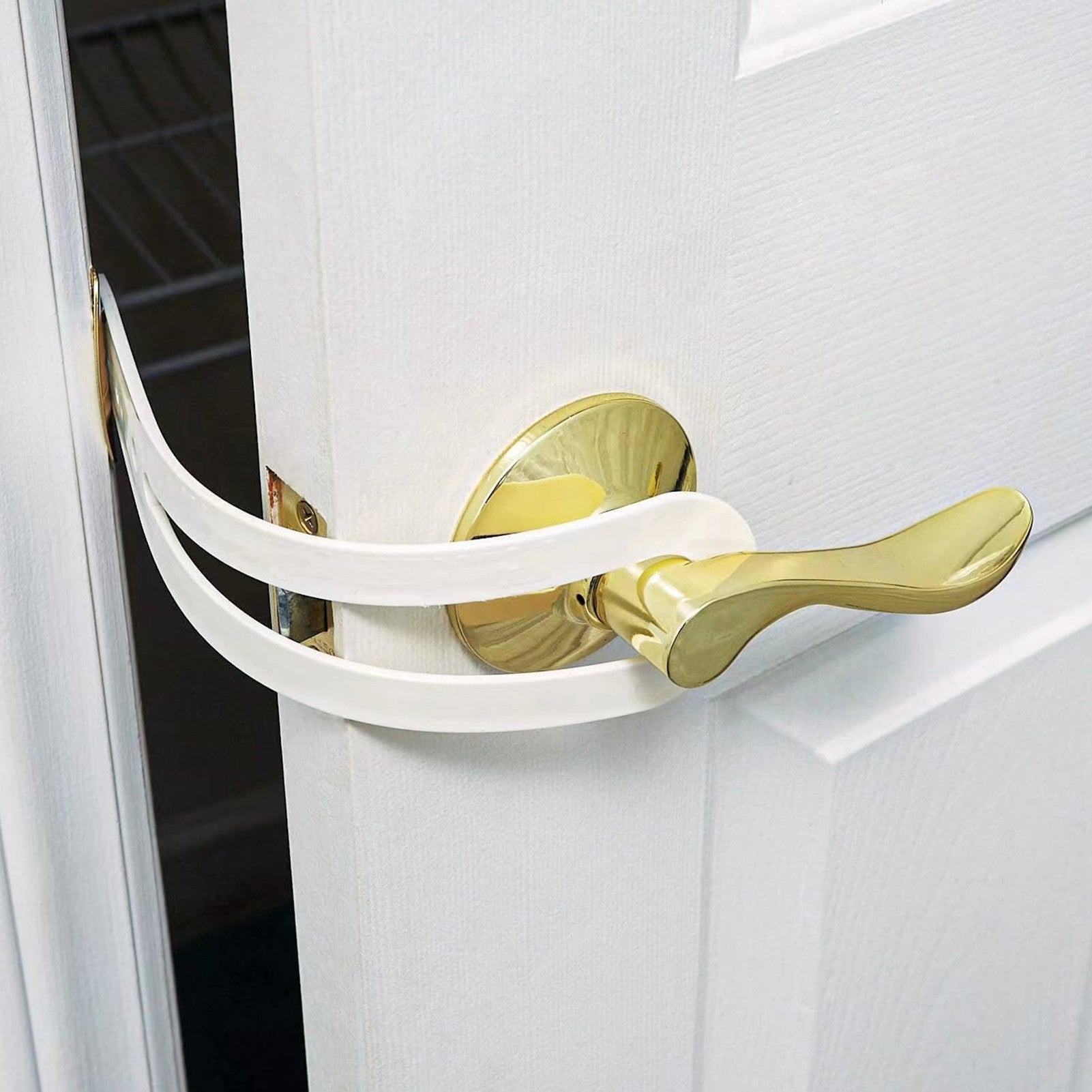 Smart Feeding Door with Anti-Collision for Cats & Dogs