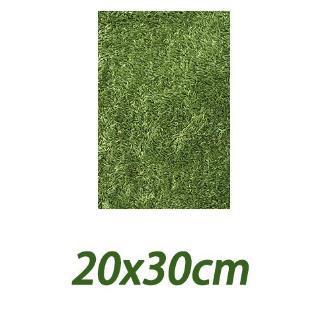 Climbing Pet Moss Carpet Horned Frog Mat Moisturizing False Lawn