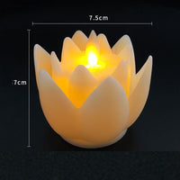 See Figure