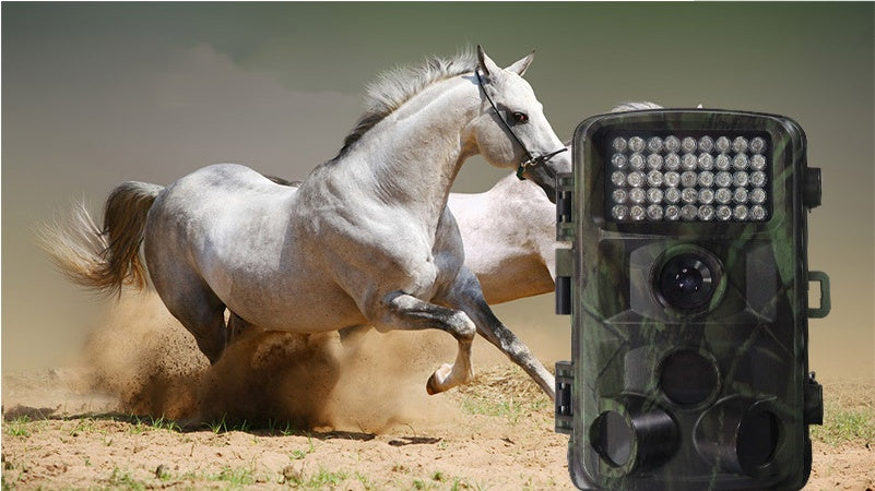 Trail Game Camera – 1080P Wildlife Hunting Cam with Night Vision