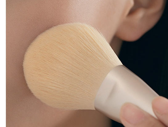 Mixed Hair Makeup Brush Set – Foundation, Concealer & Cover Brushes