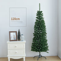 12 M Green Tree