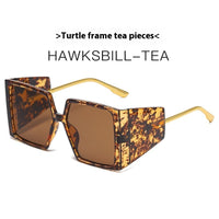 Hawksbill Box Dried