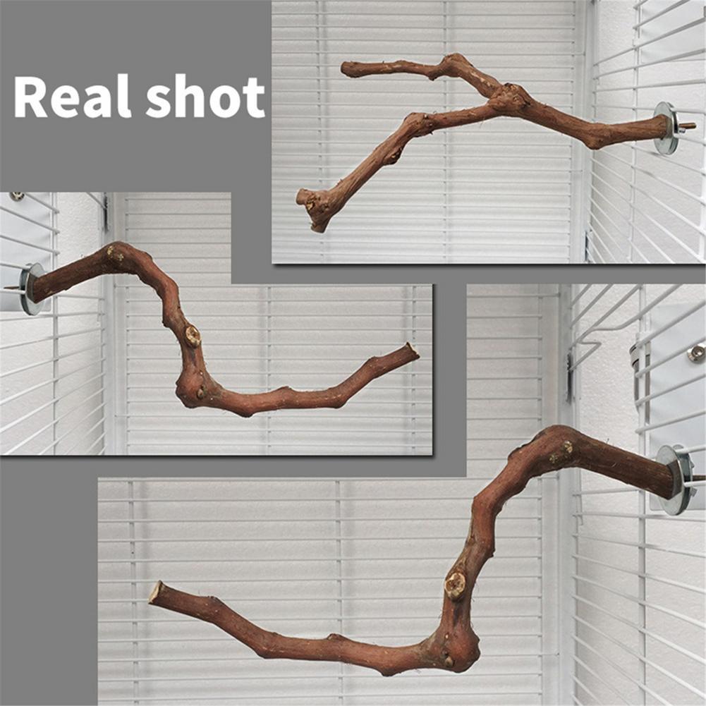 Natural Grape Wood Bird Perch Stick – Claw Grinding and Standing Branch