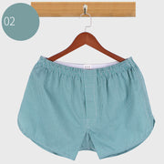 Arrow pants men's cotton underwear