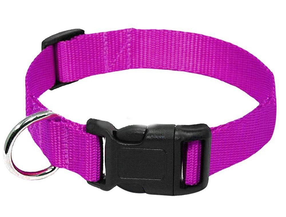 Durable Nylon Collar Dog Leash
