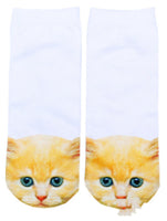 Yellow head cat
