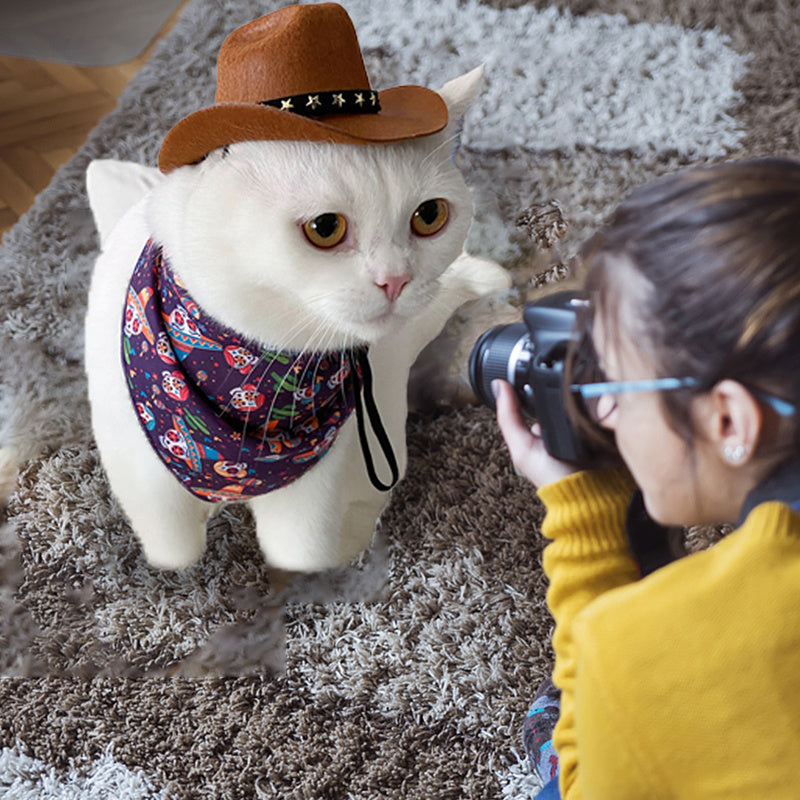 Stylish Soft Adjustable Star Cowboy Hat for Cats and Dogs