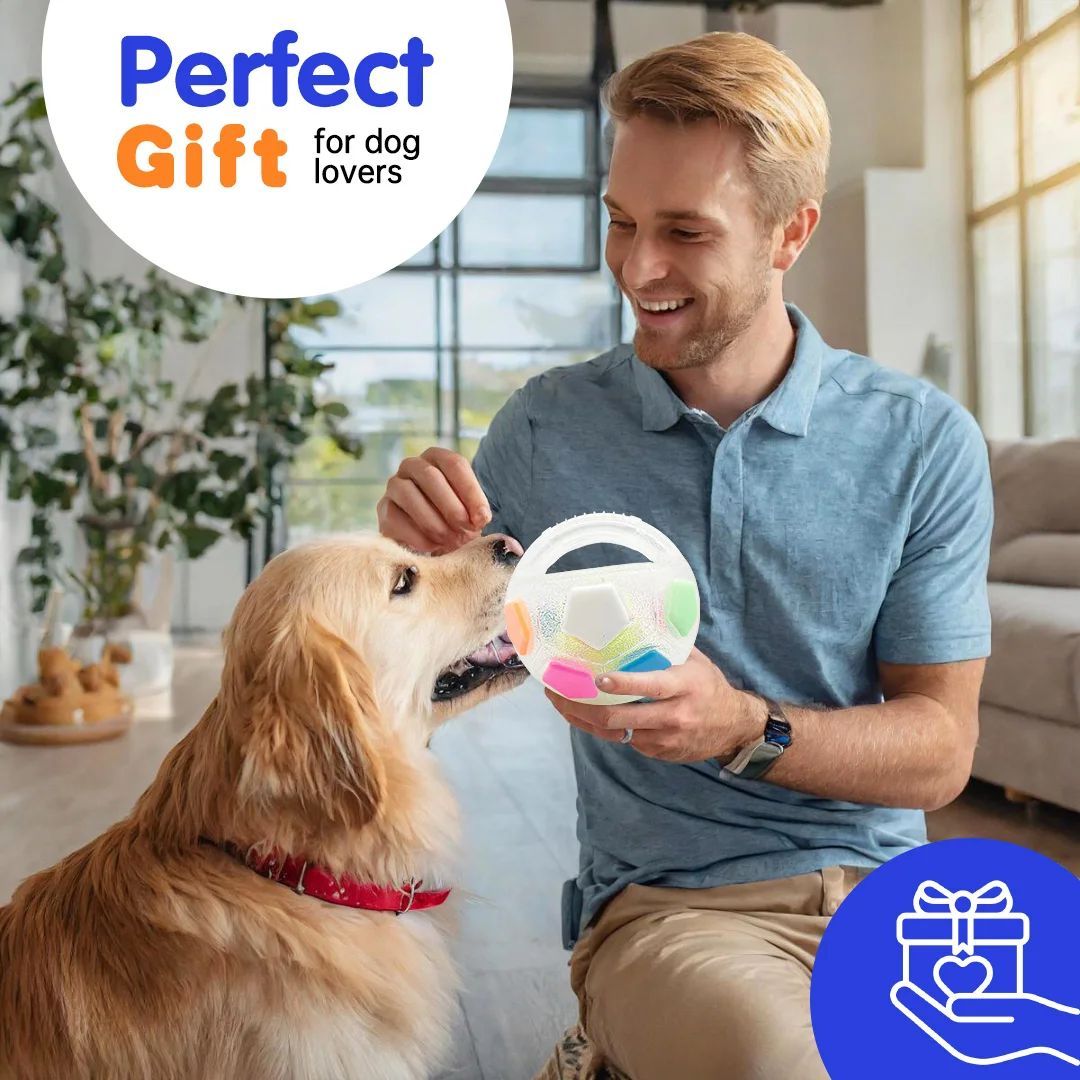 Durable Football and Tennis Ball-Shaped Squeaky Dog Toys for Outdoor Training and Teething Relief
