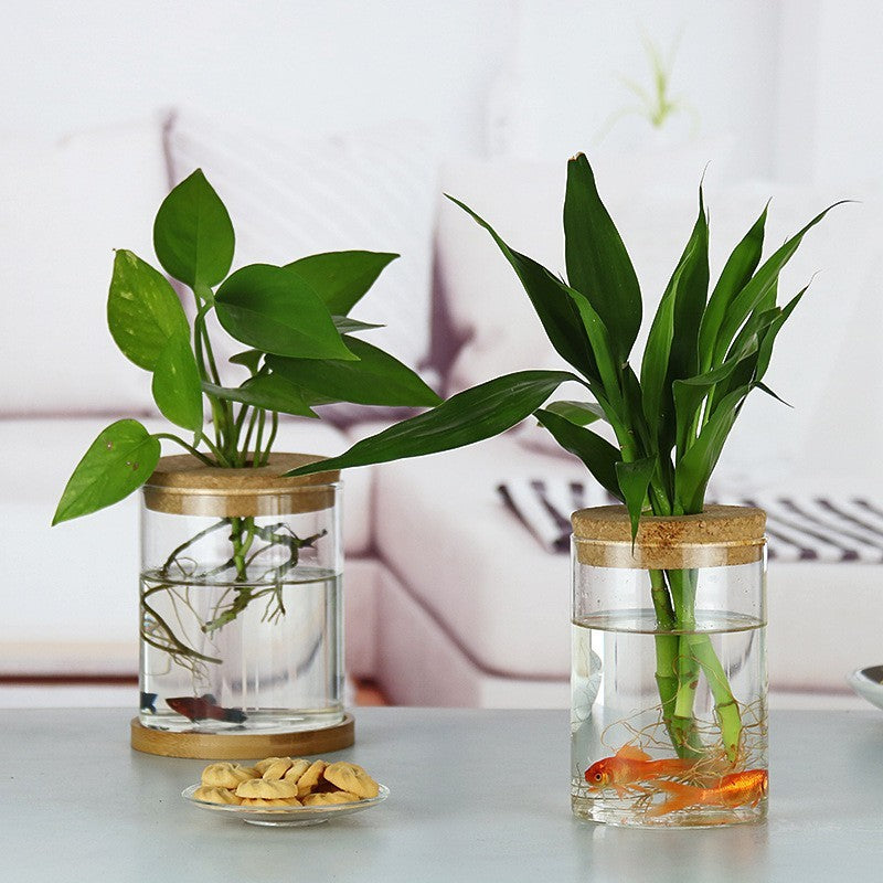 Ecological Bottle Micro Landscape Fish Tank