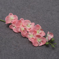 9heads short pink