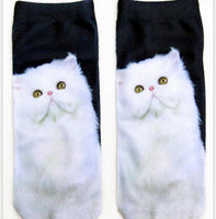 White cat