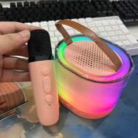 Pink Single Microphone