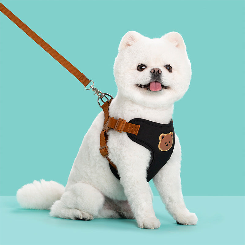 Outing Dog Leash Pet Strap
