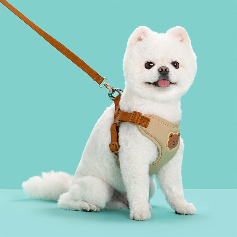 Outing Dog Leash Pet Strap