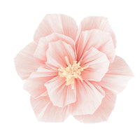 Peach Color