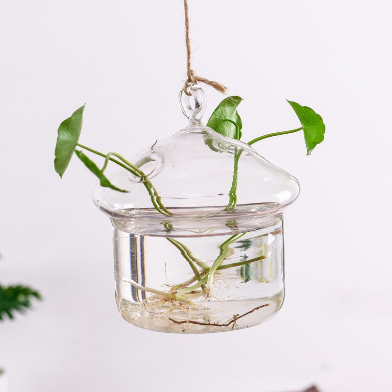 Creative Hydroponic Plant Aquarium Hanging Transparent Glass Vase