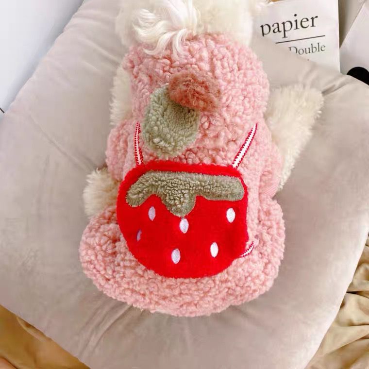 Strawberry Cotton Coat Pet Clothes Dog