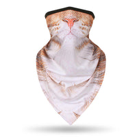 Yellow Cat