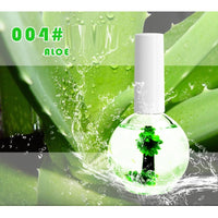 004 Aloe