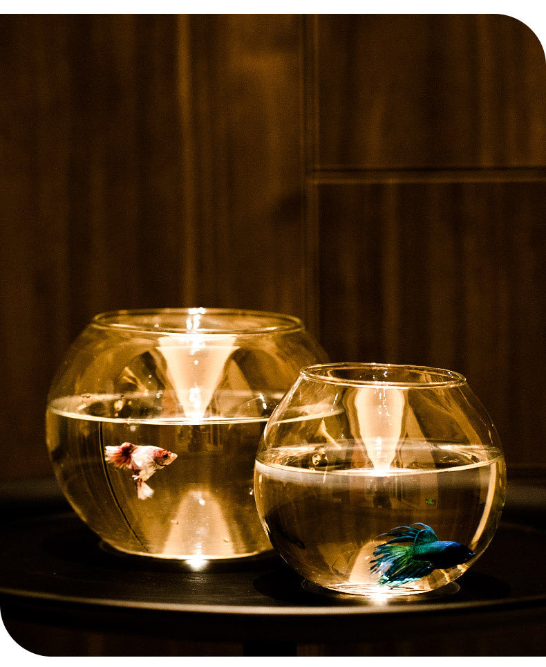 Small Round Transparent Glass Fish Tank Living Room