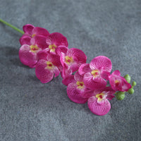 9heads short fuchsia