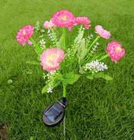 7 Heads Pink