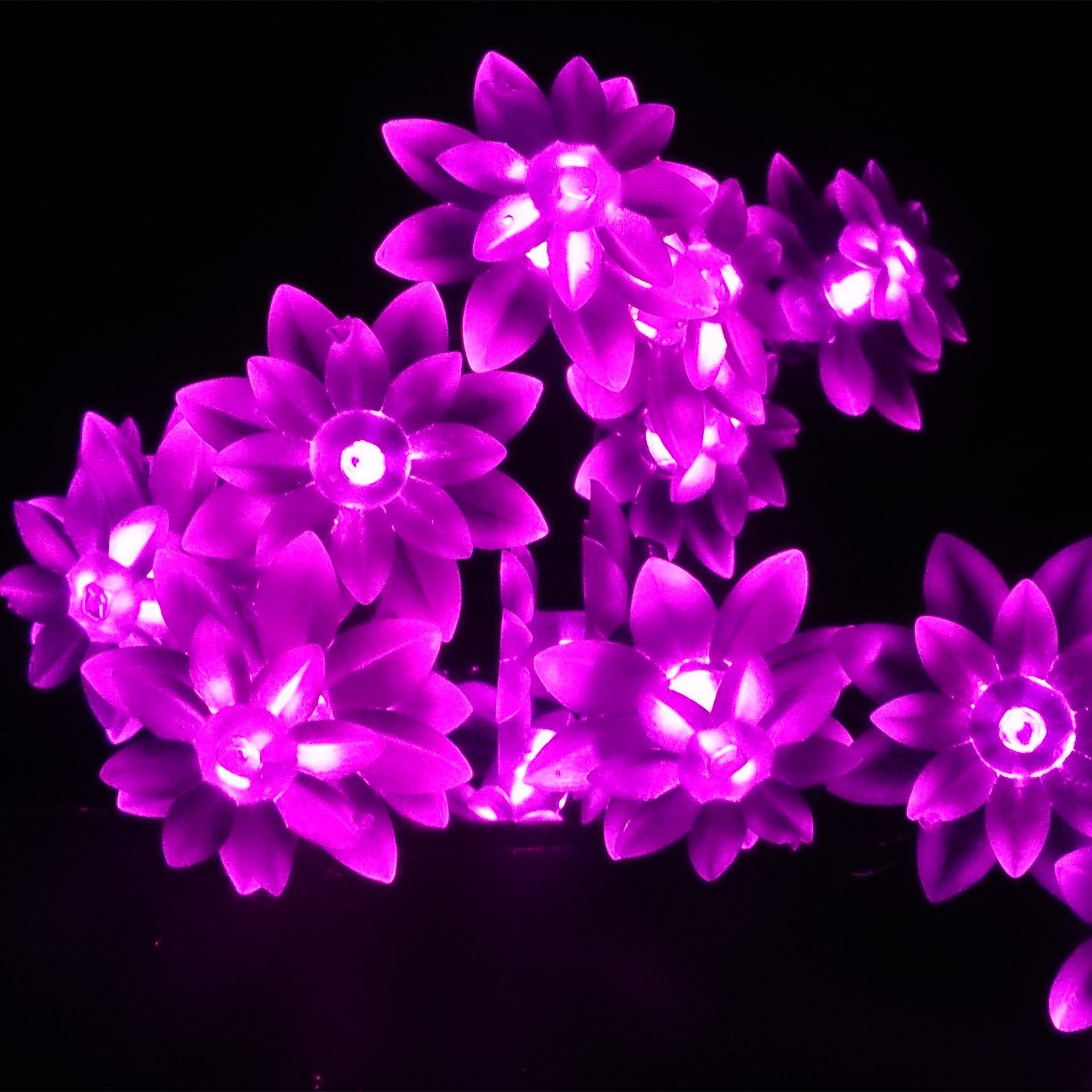 LED Double Lotus Solar Light