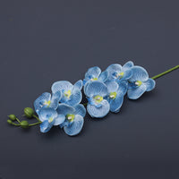 9heads short blue