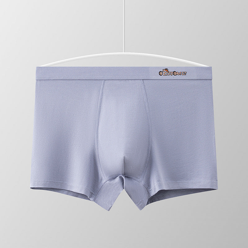 Fashion Printed Male Student Boxers