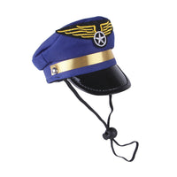 Pilot