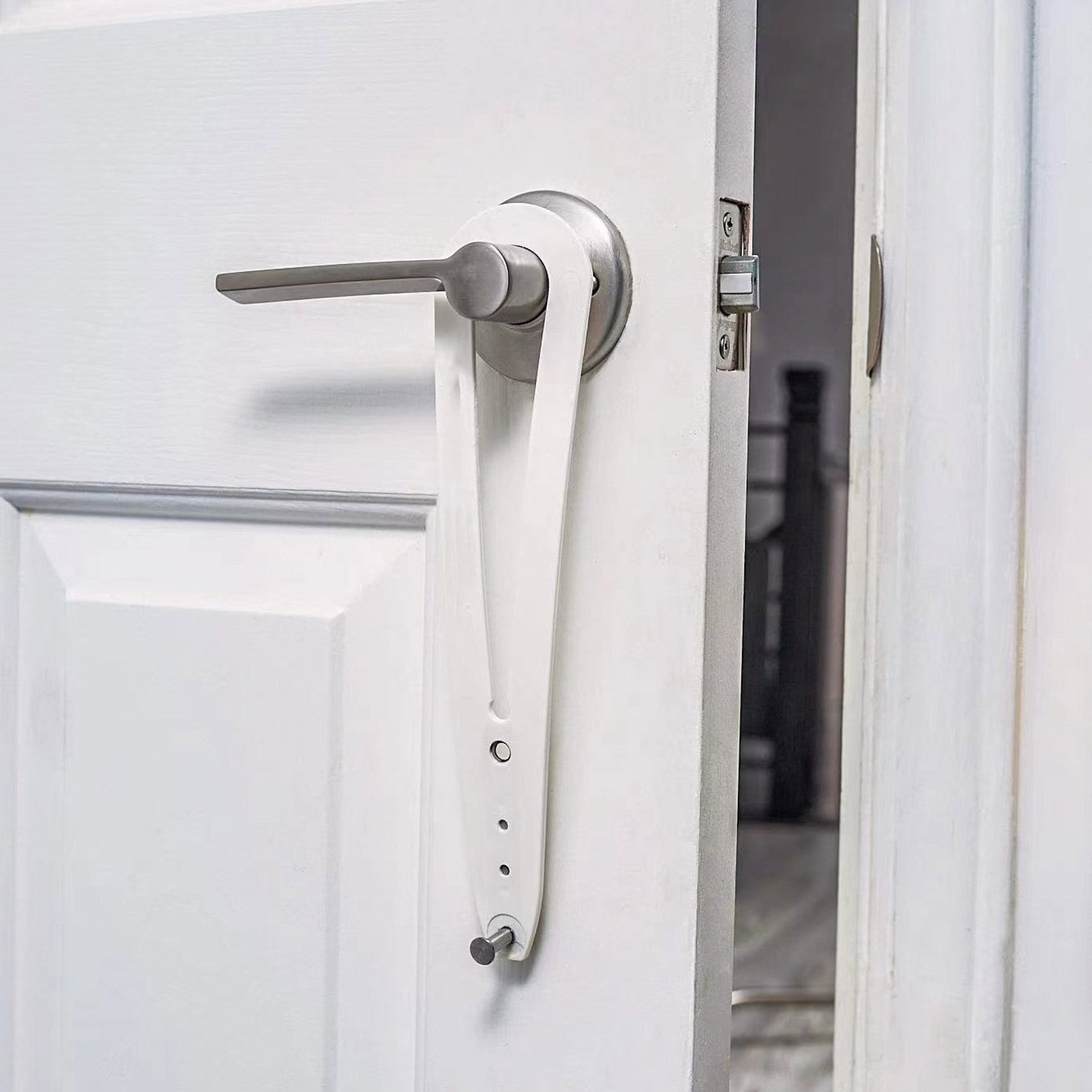 Smart Feeding Door with Anti-Collision for Cats & Dogs