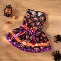 Colorful Pumpkin