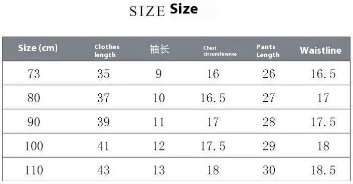 Boys' Summer Short Sleeve Shorts Suit