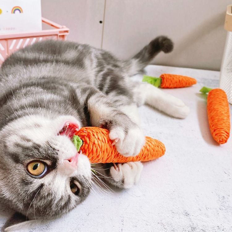 Sound Carrot Kittens Molar Rod Cat Scratch Board