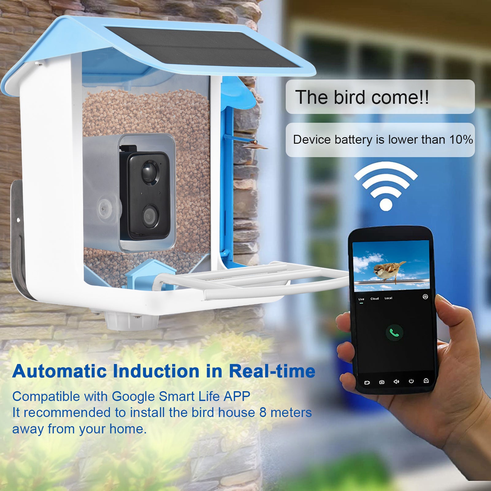 Smart Bird Feeder with AI Recognition Camera – Solar Powered