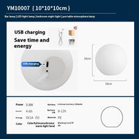 10cm Ball Rechargeable