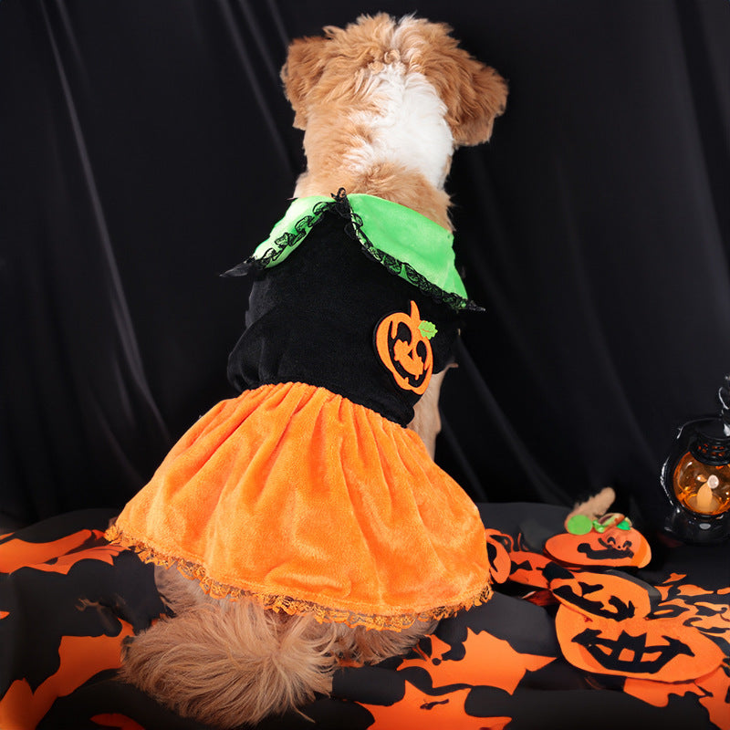 Halloween Pumpkin Pet Costume – Classic Skirt Outfit for Dogs and Cats