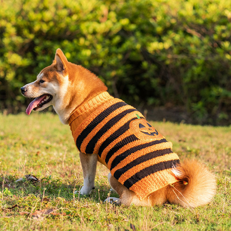 Halloween Dog Sweater – Warm Pet Costume Outfit for Teddy Dogs and Small Breeds