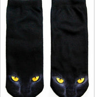 Black cat