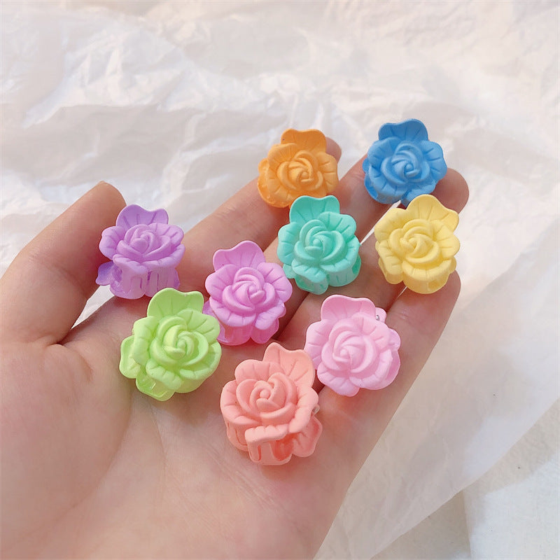 Women's Hair Clip With Frosted Back Of The Head Spoon