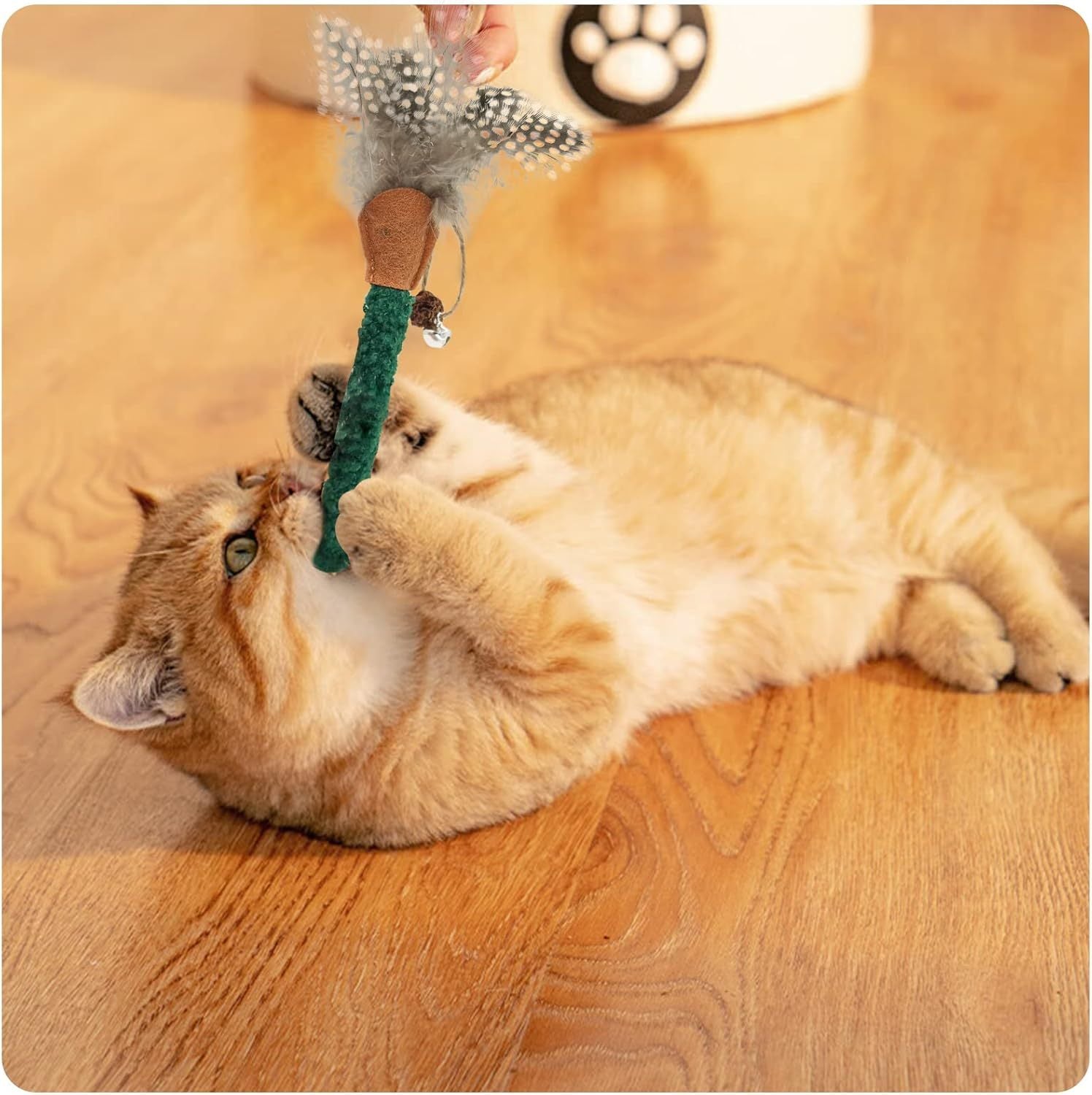 Natural Feathered Silvervine Catnip Chew Sticks for Cats